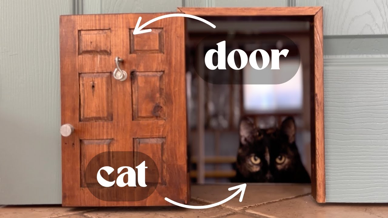 I made a cute-as-heck cat door | DIY cat door