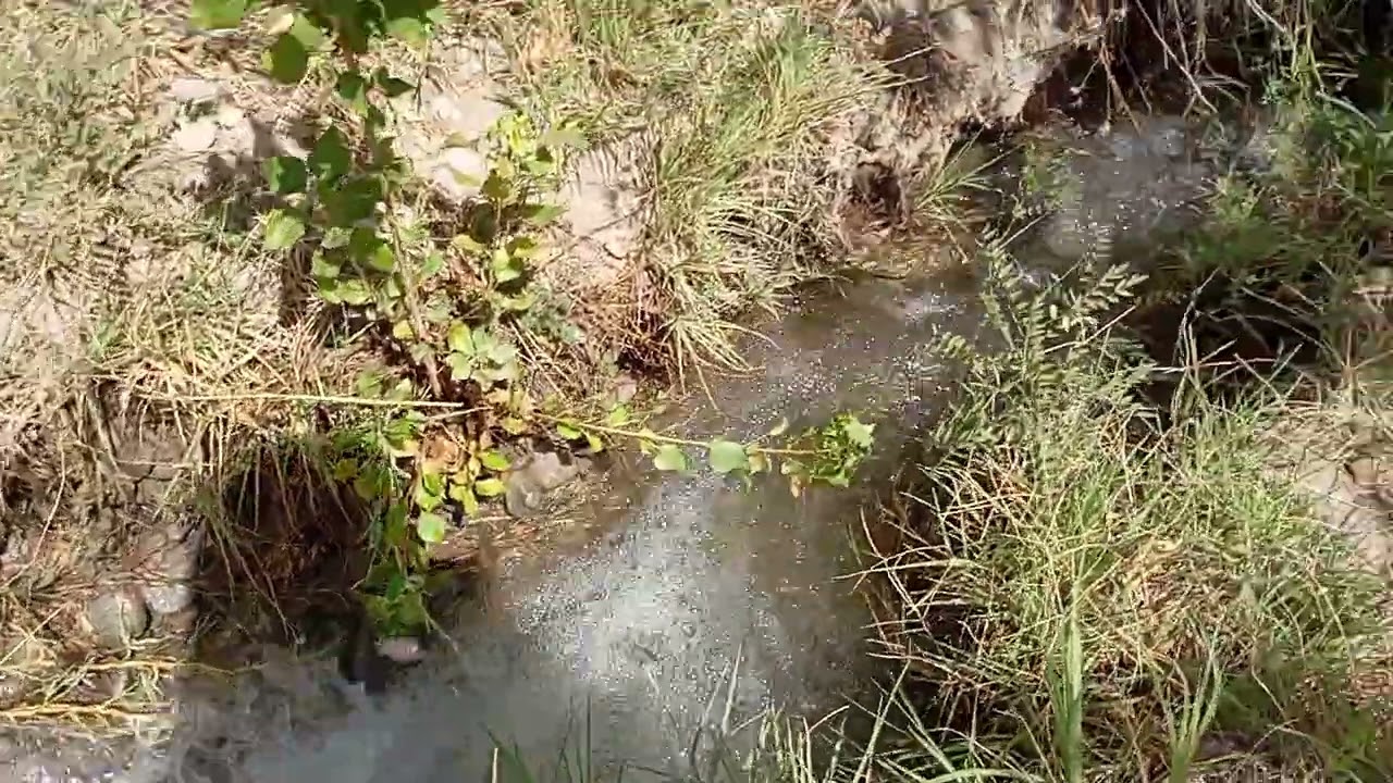 ۶ ژانویهٔ ۲۰۲۶
