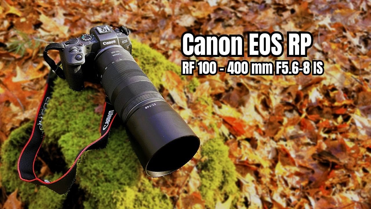 Canon RF 100-400mm F5.6-8 IS USM | Canon EOR RP | Nauka Fotografii Samemu |
