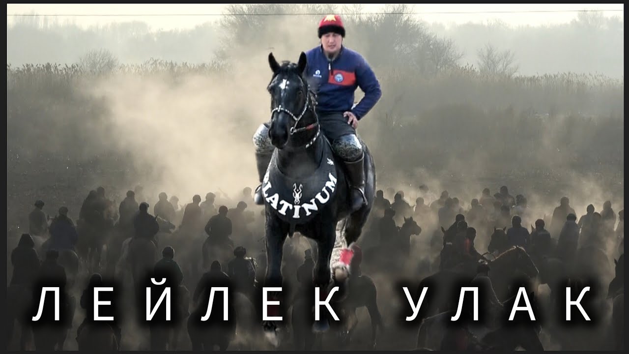 Бишкек шаары/ Озерный ат майданы 14-01-26 Лейлек улак. 