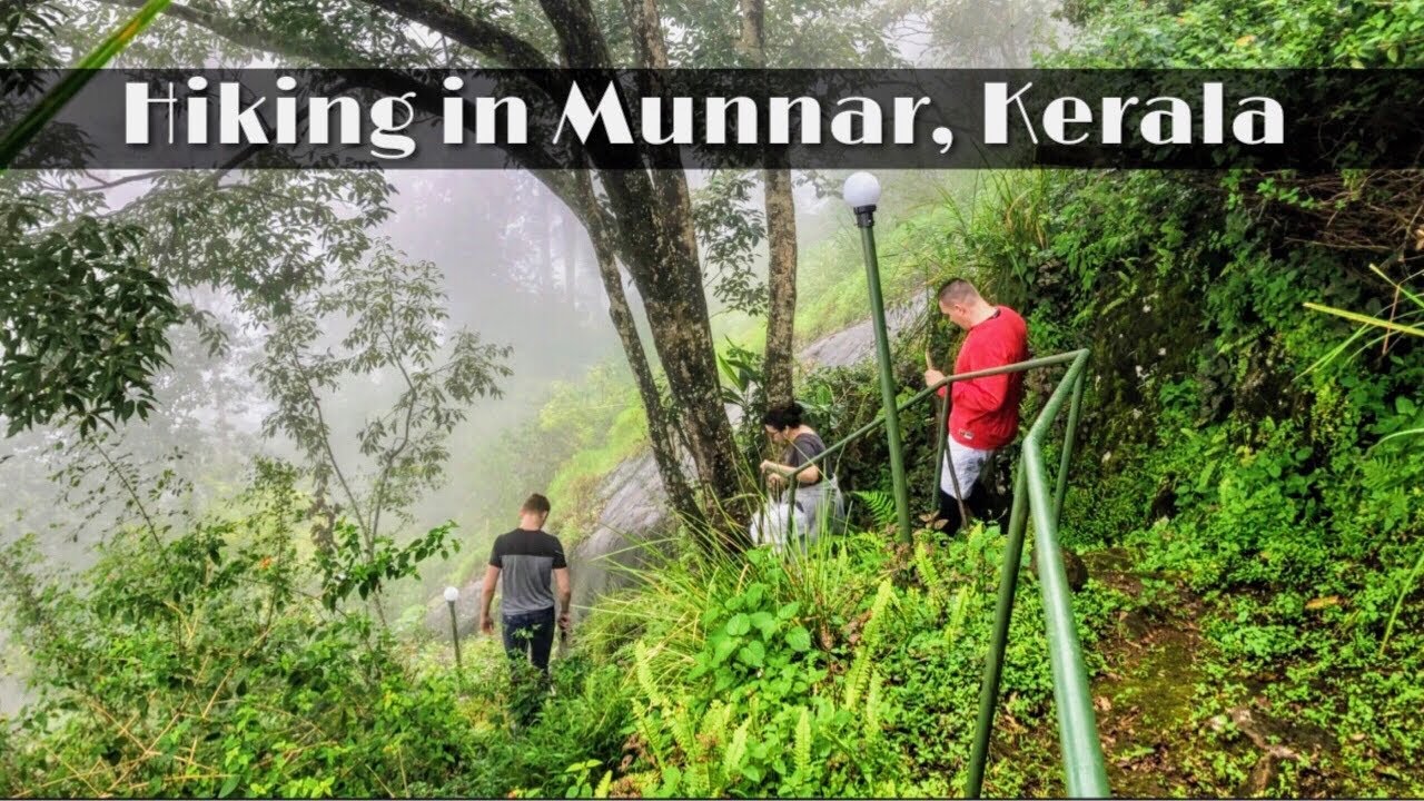 Americans Spend The Day In Munnar, Kerala | India Travel Vlog