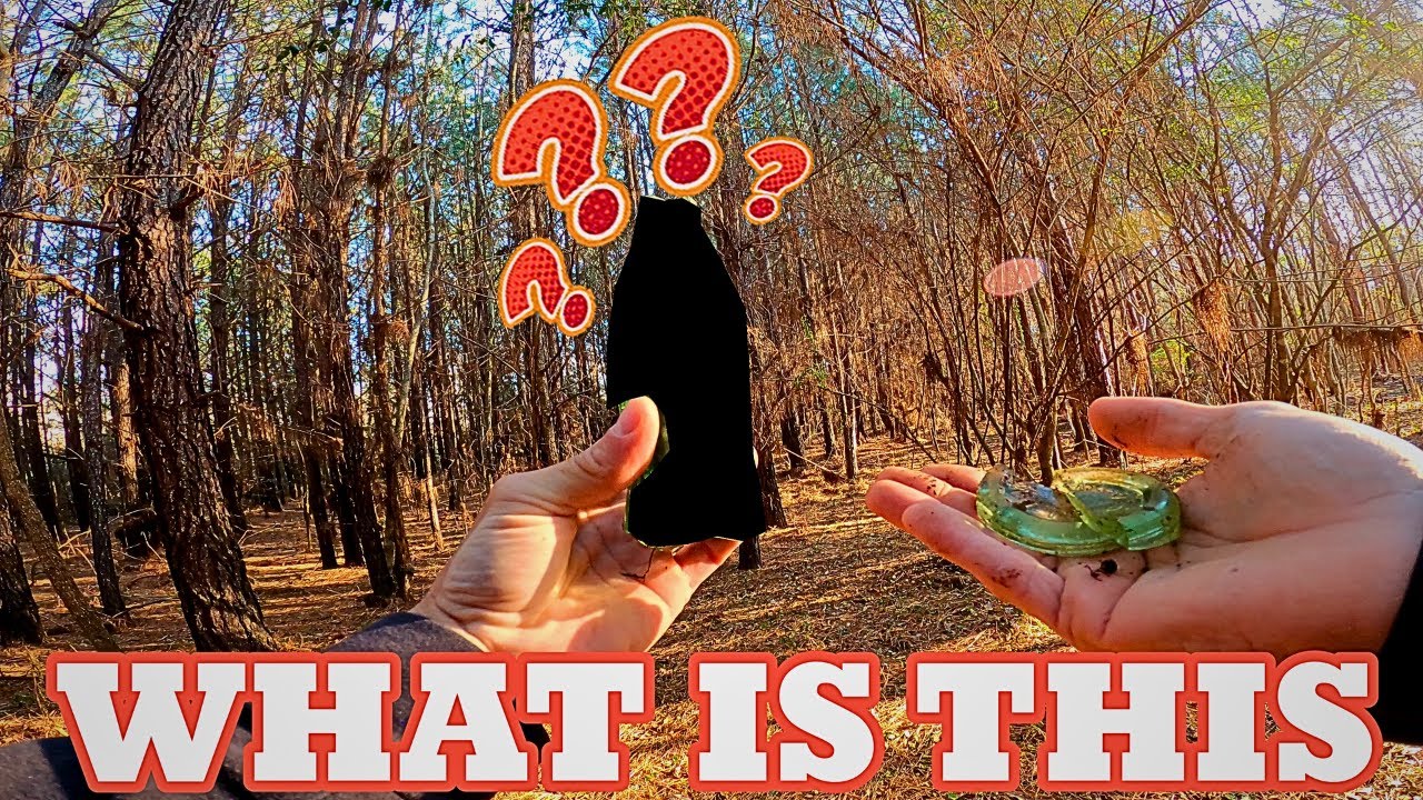 You Won’t Believe What We Found Lying on This Backwoods Trail