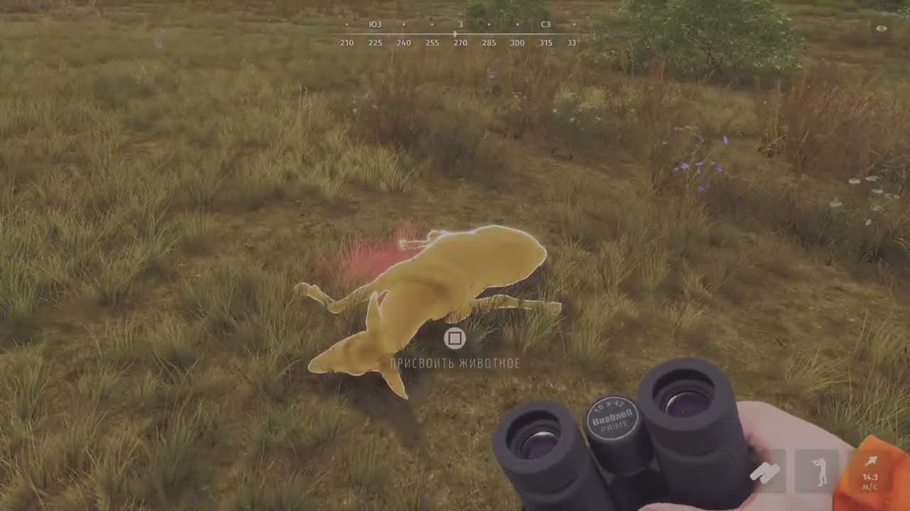 Way of the Hunter_Стадо Голливуда🦌