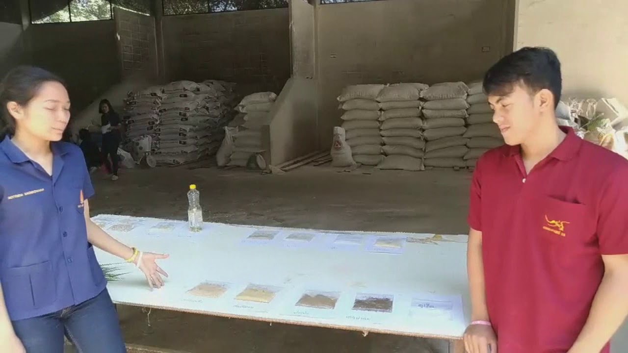 วัตถุดิบอาหารสัตว์