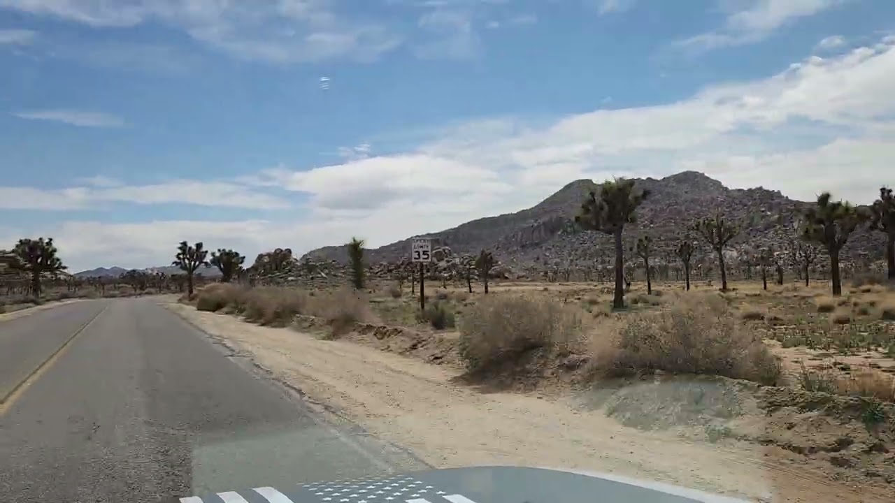 Joshua Tree State Park march 2023