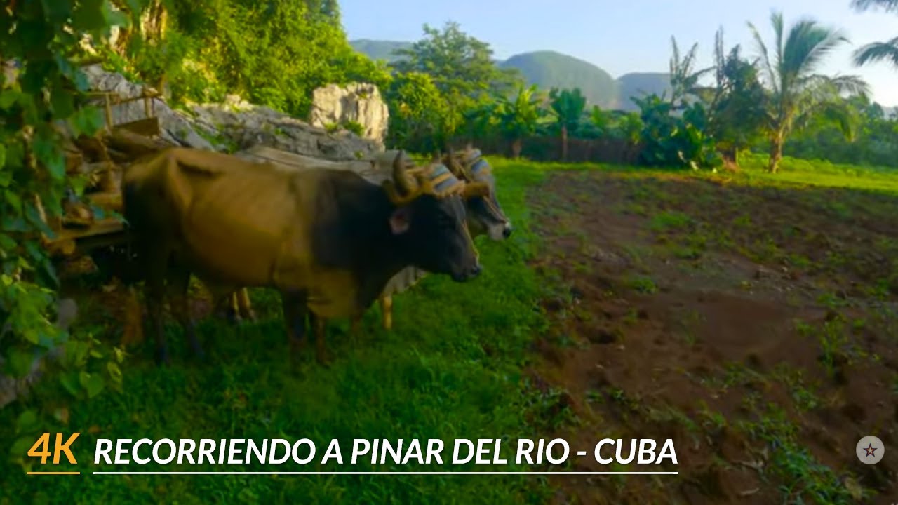 【4K】Recorriendo Pinar del Rio. Dejando atras el Cabo de San Antonio.