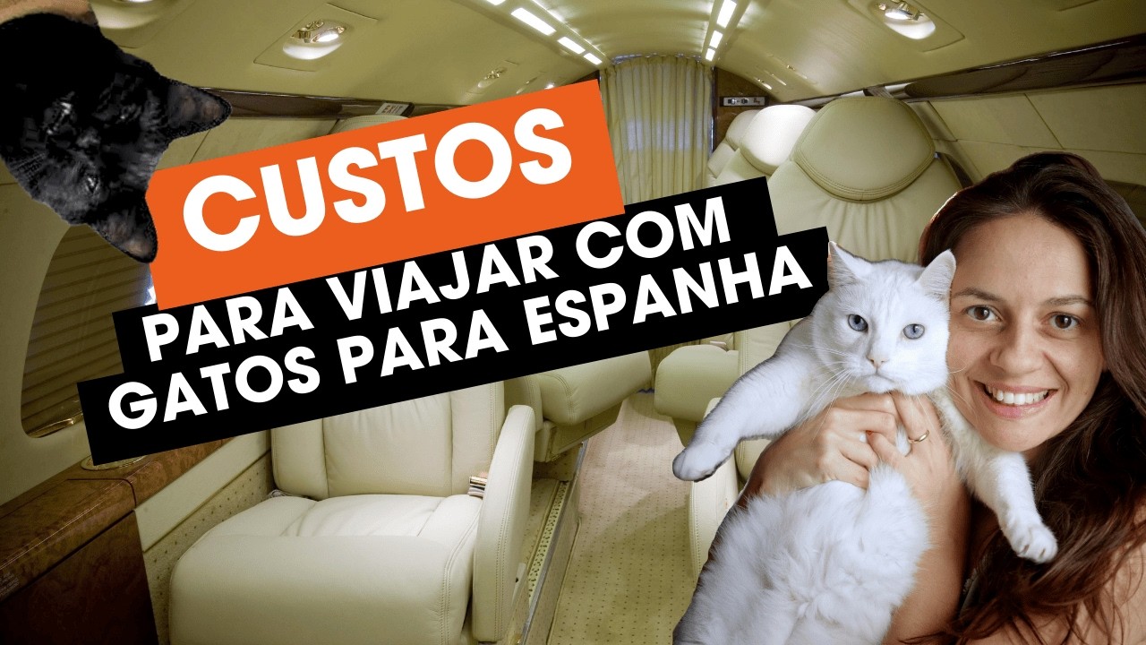 Custos para viajar com Gatos de avião para Espanha + Susto no avião | Mundo Espanha