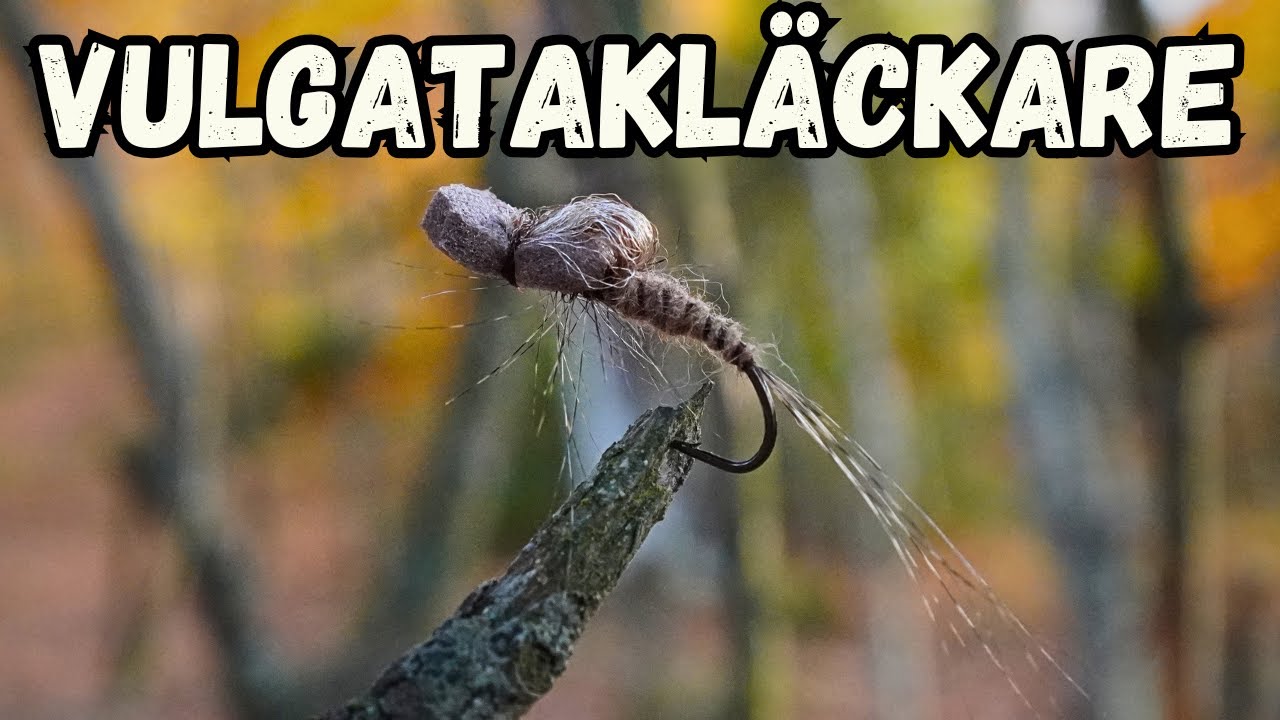 Vulgatakläckare - med foam och Bugyarn