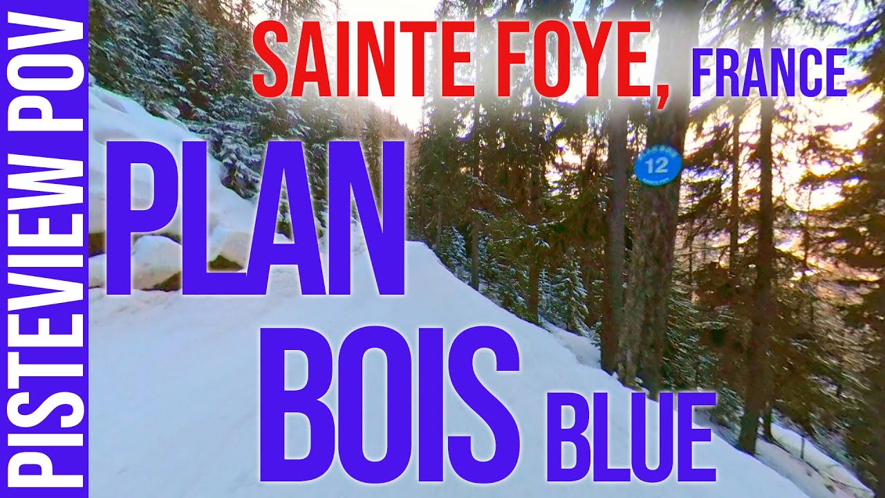 Sainte Foye, France - Plan Bois Blue Easy Forest Run to Resort  POV- Boardie Ski and Snowboarding