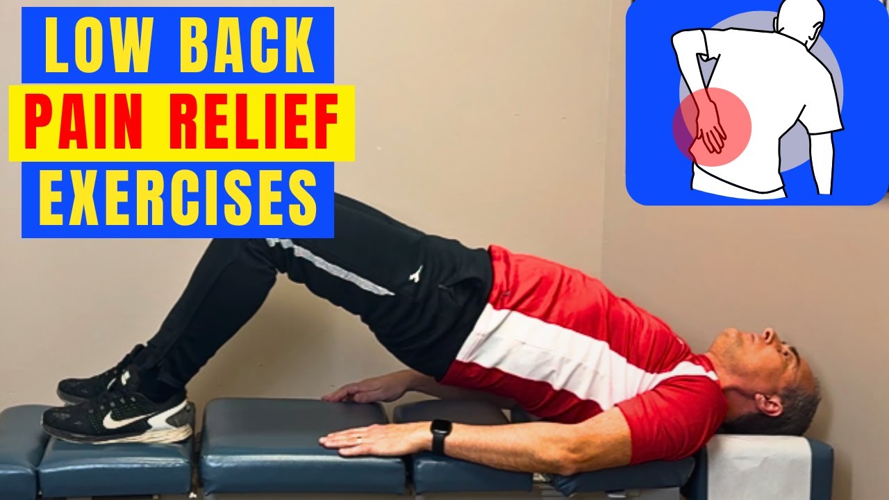 Lower Back Pain Exercises (14 MINUTES FOLLOW ALONG) for Lower Back Pain Relief | Dr. Walter Salubro