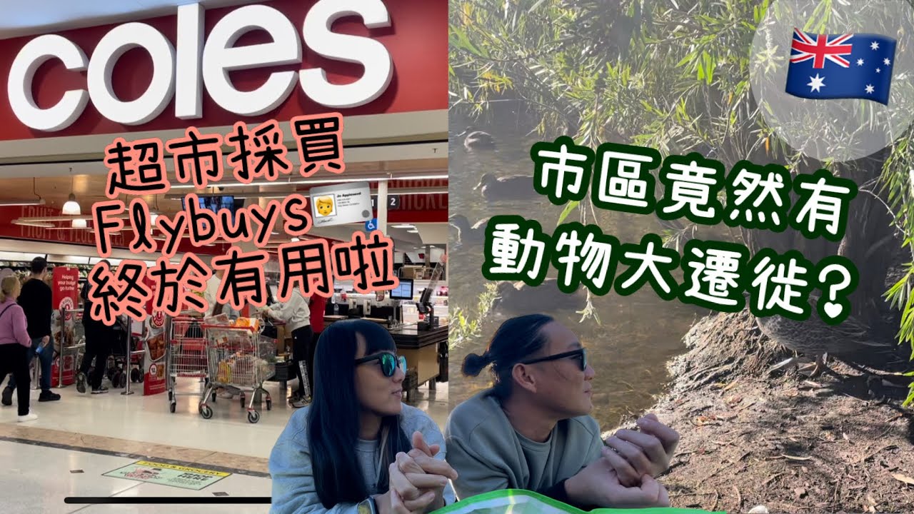 【🇦🇺澳洲生活】 Perth 超級市場Coles Aldi 採購Flybuys積分當錢洗💰市區公園野餐竟然睇到動物大遷徙？￼🏝️