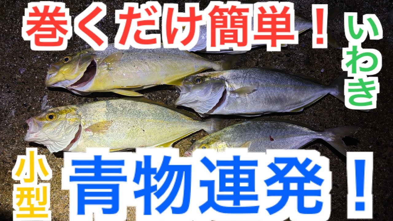 巻くだけ簡単！いわきサーフで小型青物連発！