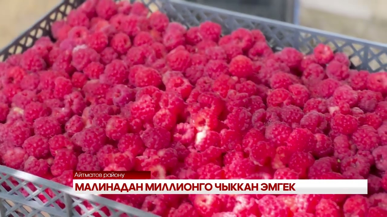 МАЛИНАДАН МИЛЛИОНГО ЧЫККАН ЭМГЕК