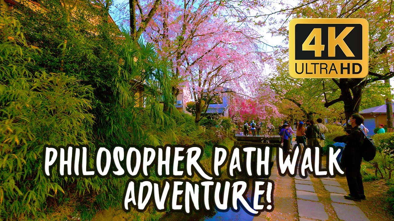 🇯🇵 Follow a Philosopher's Footsteps in Kyoto Japan