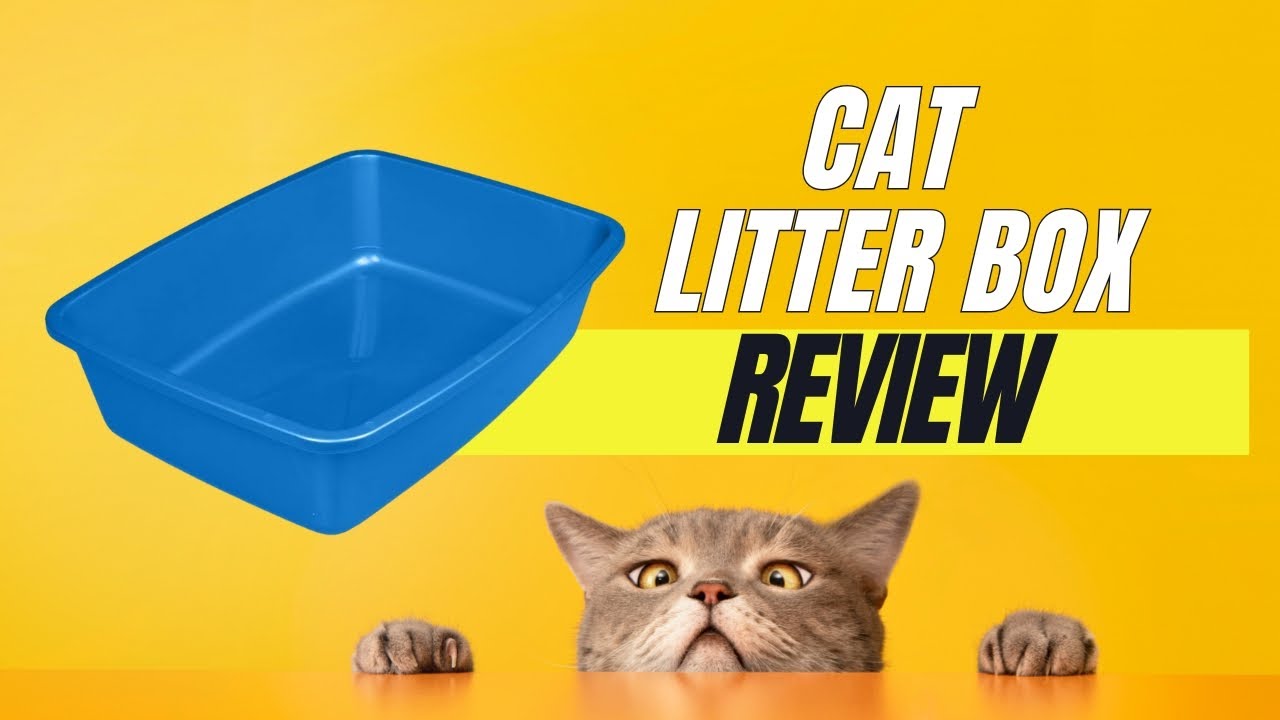 Say Goodbye to Mess: The Van Ness Cat Litter Box Review
