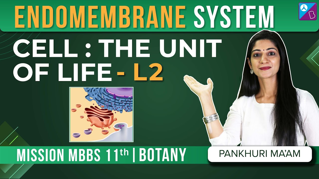 Endomembrane System Class 11 Biology - Cell The Unit of Life Concepts (L2) | NEET 2024 Exam Prep