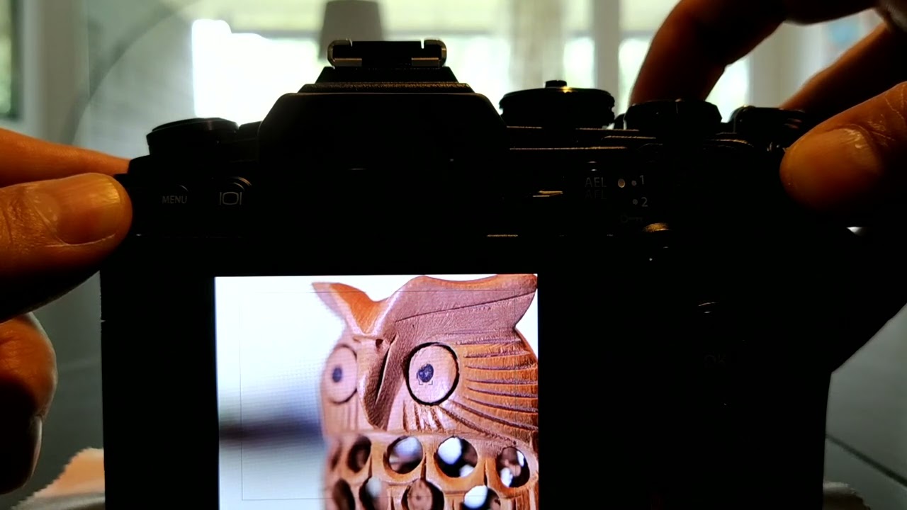 Focus stacking con macchine Olympus