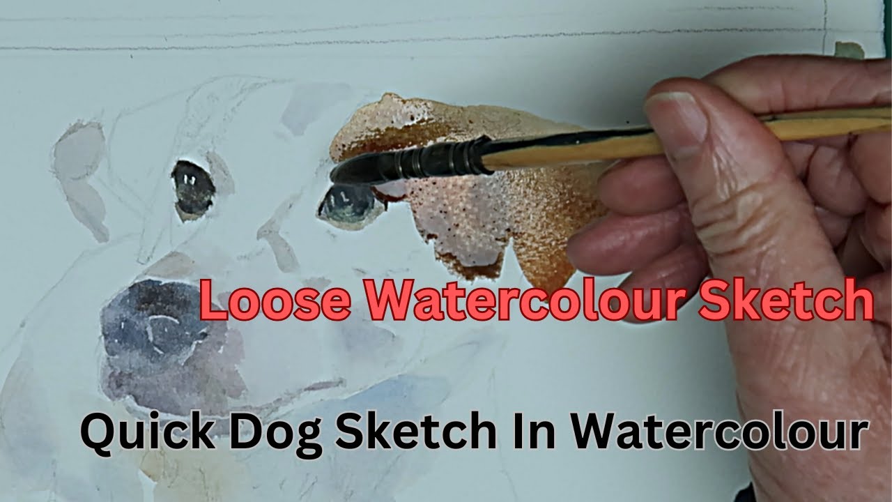 Sketching Dogs In Watercolour, Quick Sketch