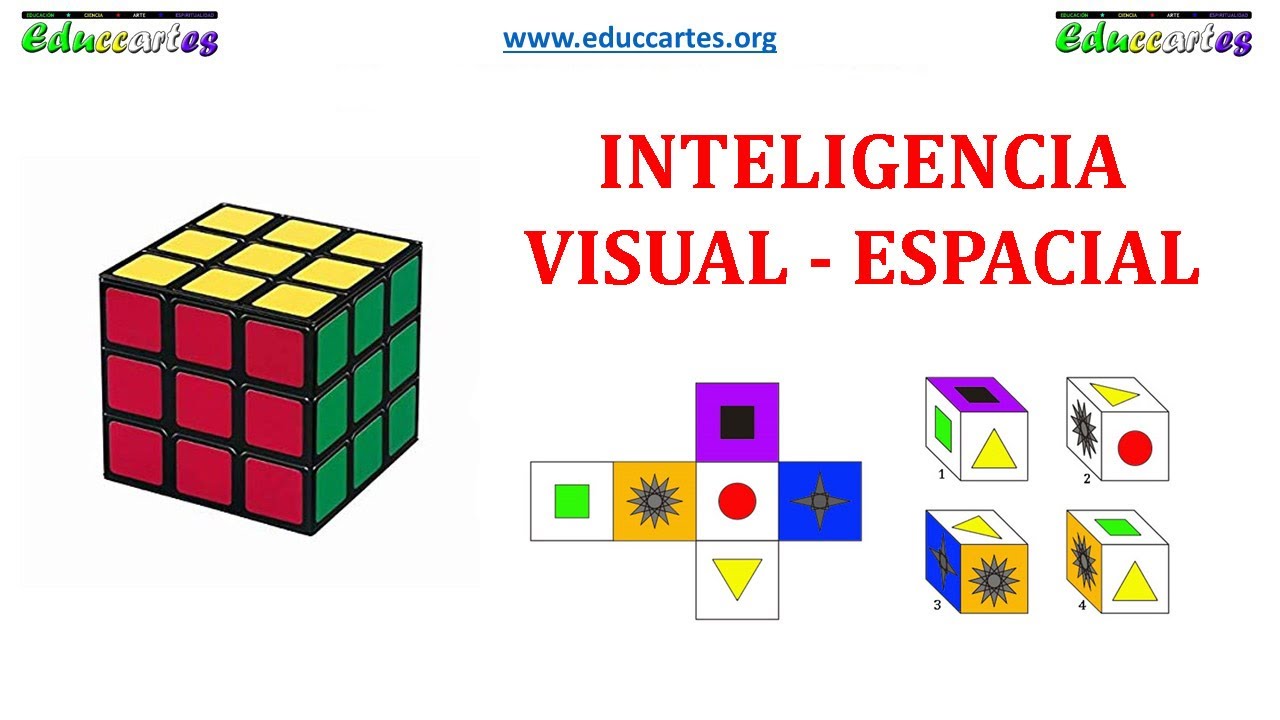 10 Inteligencia Visual   Espacial