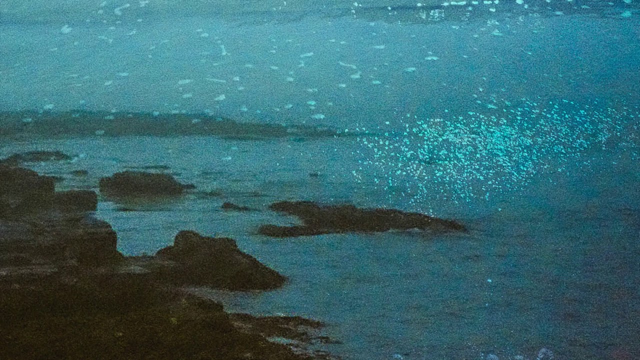 HarborLights 