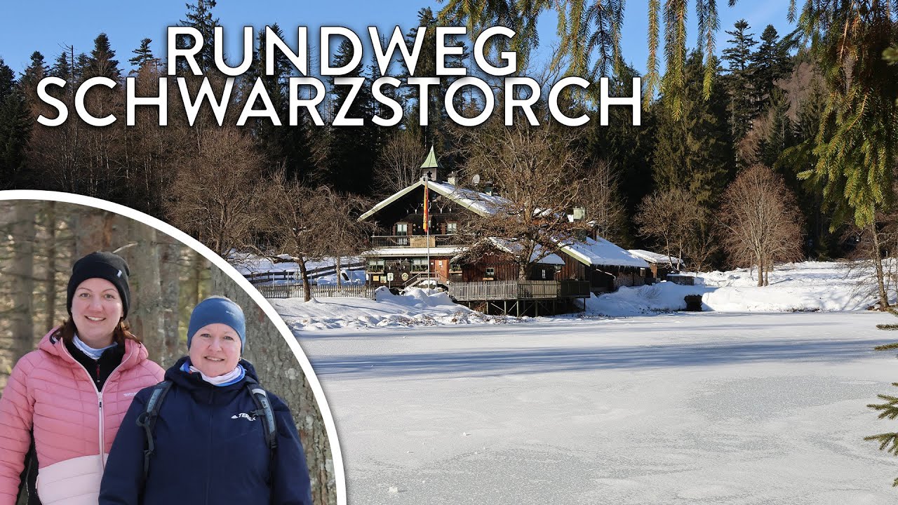 Winterliches ❄️ Schwellhäusl 🍻 und Urwaldgebiet 🌲 Watzlik-Hain - Touren-Tipp 🥾 im Nationalpark