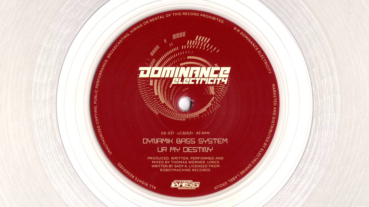 Dynamik Bass System - UR My Destiny (808 electrofunk)
