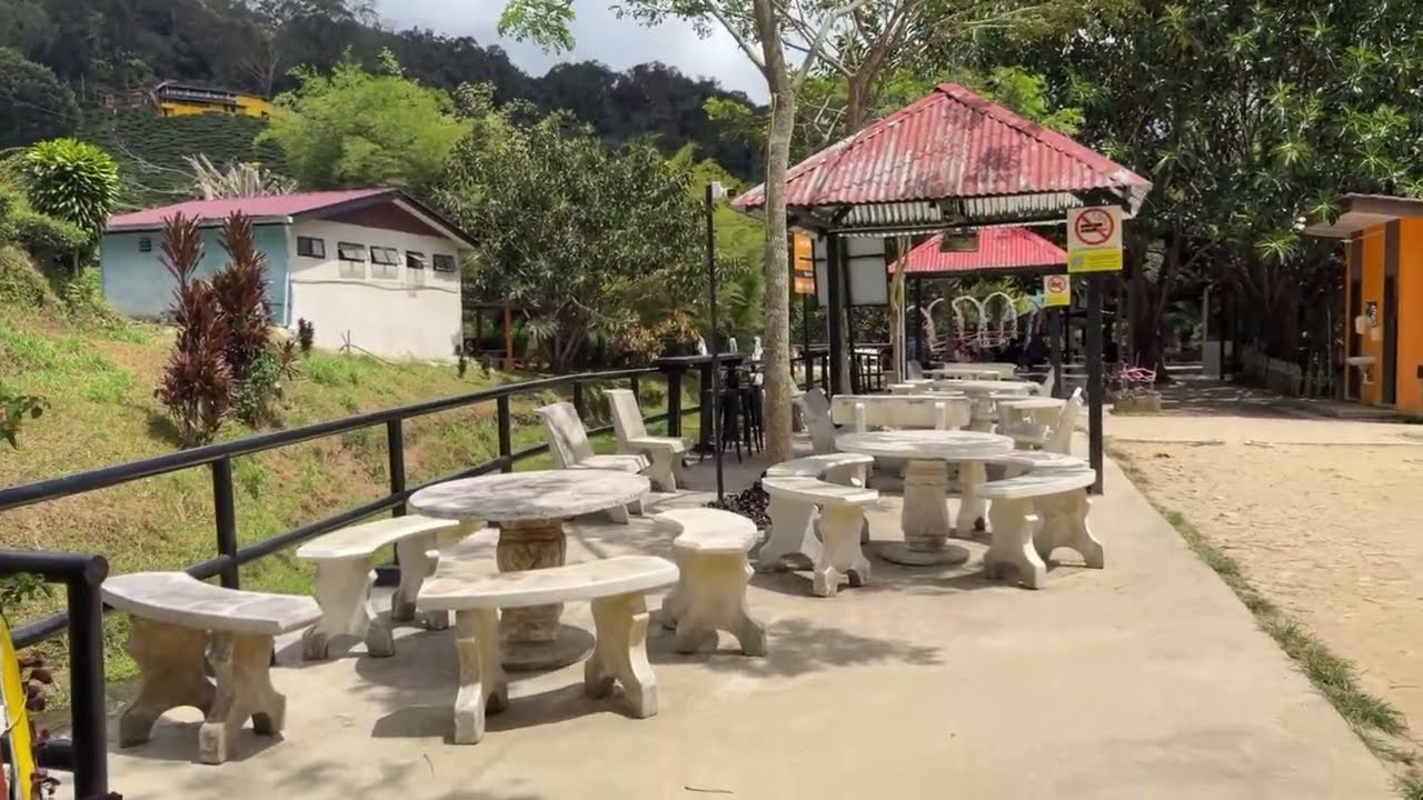 Cameron Tea Valley