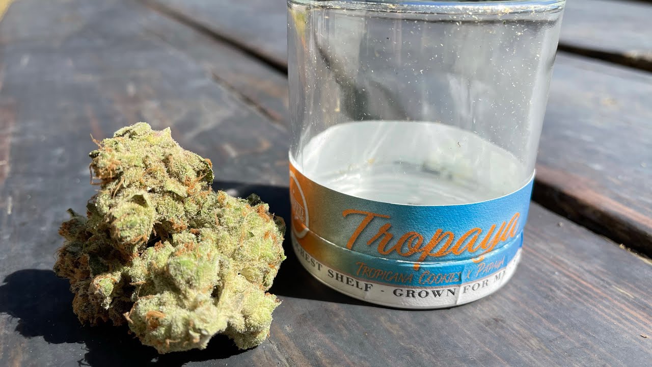 The Tropaya Strain Review Featuring Fifty Fold at Euphorium Dispensary in Covington, WA