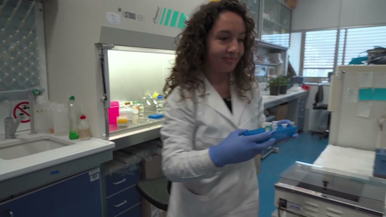 Video di presentazione del Dipartimento di Chimica e Biologia 