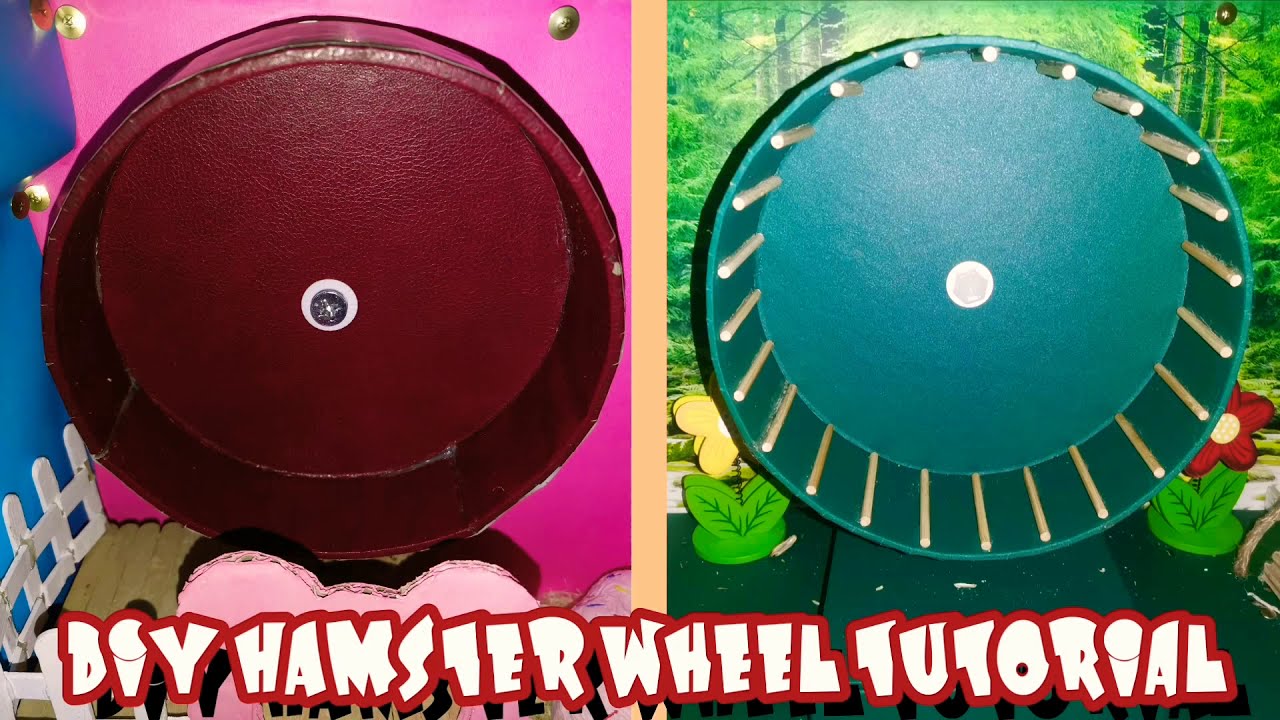 DIY Hamster Wheel Tutorial | Chubby Hamhams