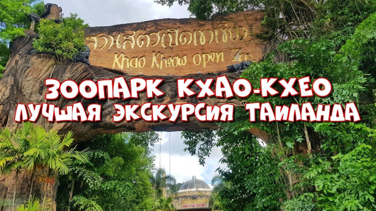 Зоопарк в Паттайе Кхао Кхео! Остров лемуров! Лучшая экскурсия в Паттайя! Khao Kheow Open Zoo!