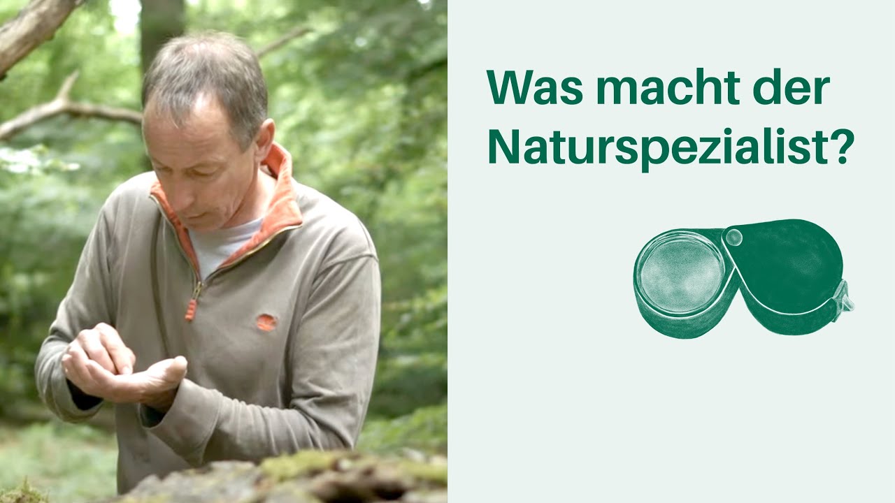 Was macht der Naturschutzspezialist? Arbeitsplatz Wald 🌳🌲 I Berufe in Wald & Forstwirtschaft