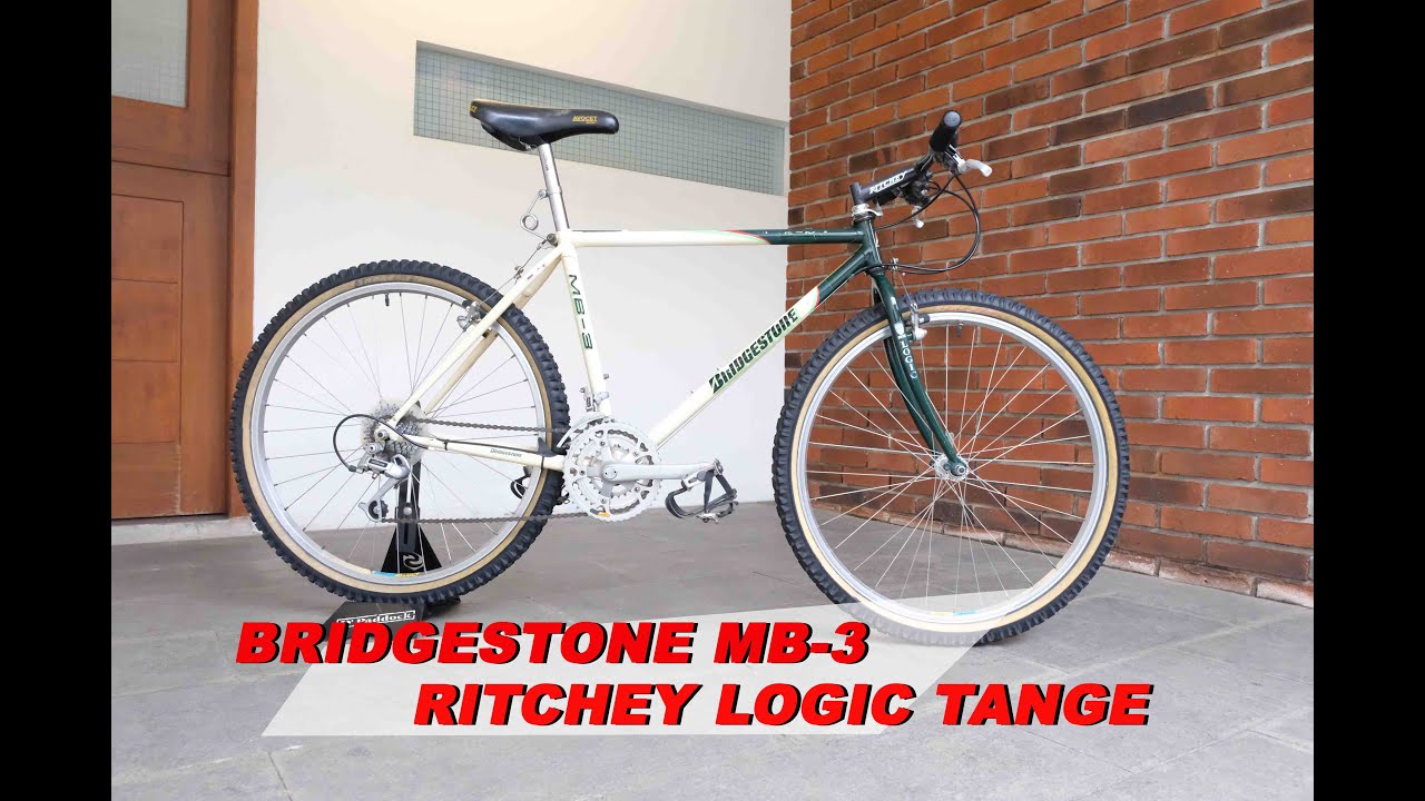 MTB Vintage Ciamik Bridgestone MB-3‼️ Ritchey Logic Tange ‼️