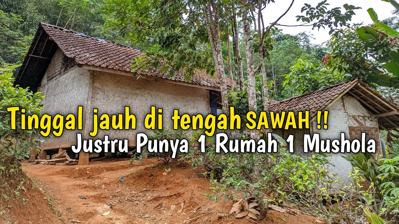 SIAPA SANGKA !!! TINGAL DI TENGAH SAWAH JUSTRU PUNYA 1 RUMAH 1 MUSHOLA PRIBADI