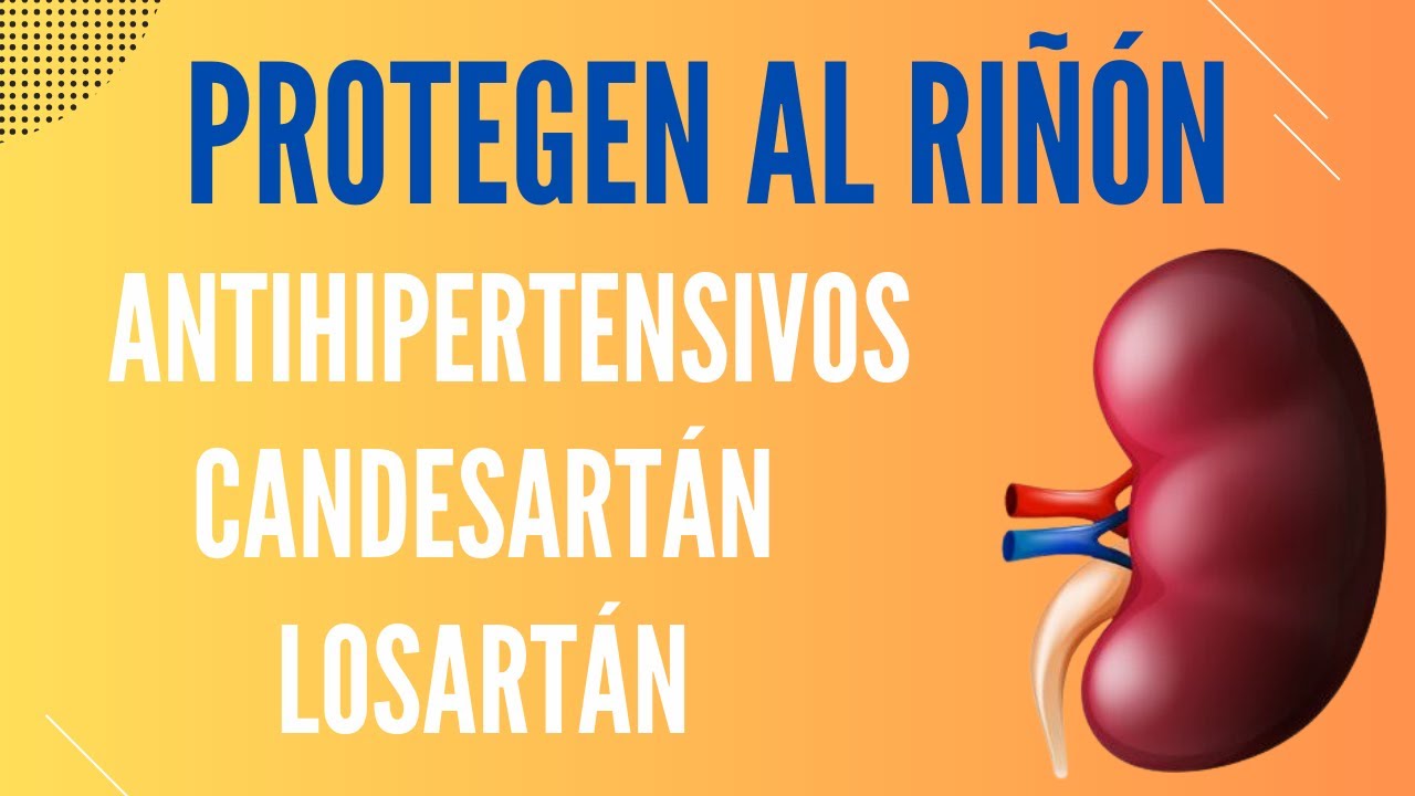 Losartán, candesartán y otros antihipertensivos protegen el riñón
