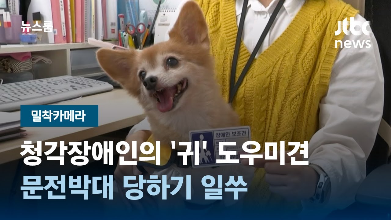 [밀착카메라] 청각장애인의 '귀' 도우미견&hellip;문전박대 당하기 일쑤 / JTBC 뉴스룸