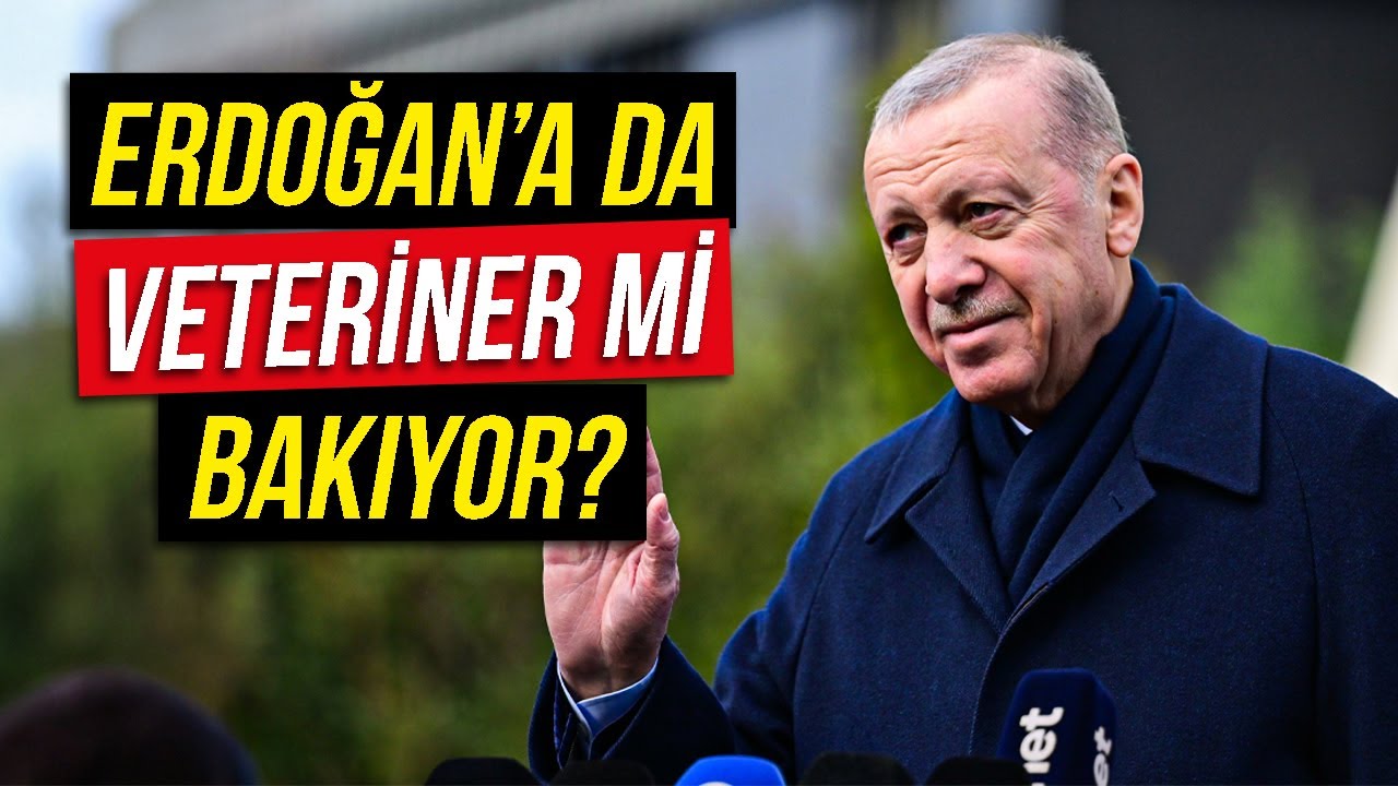 Erdoğan'a da Baytar mı Bakıyor