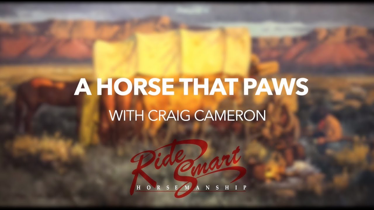 A Horse that Paws