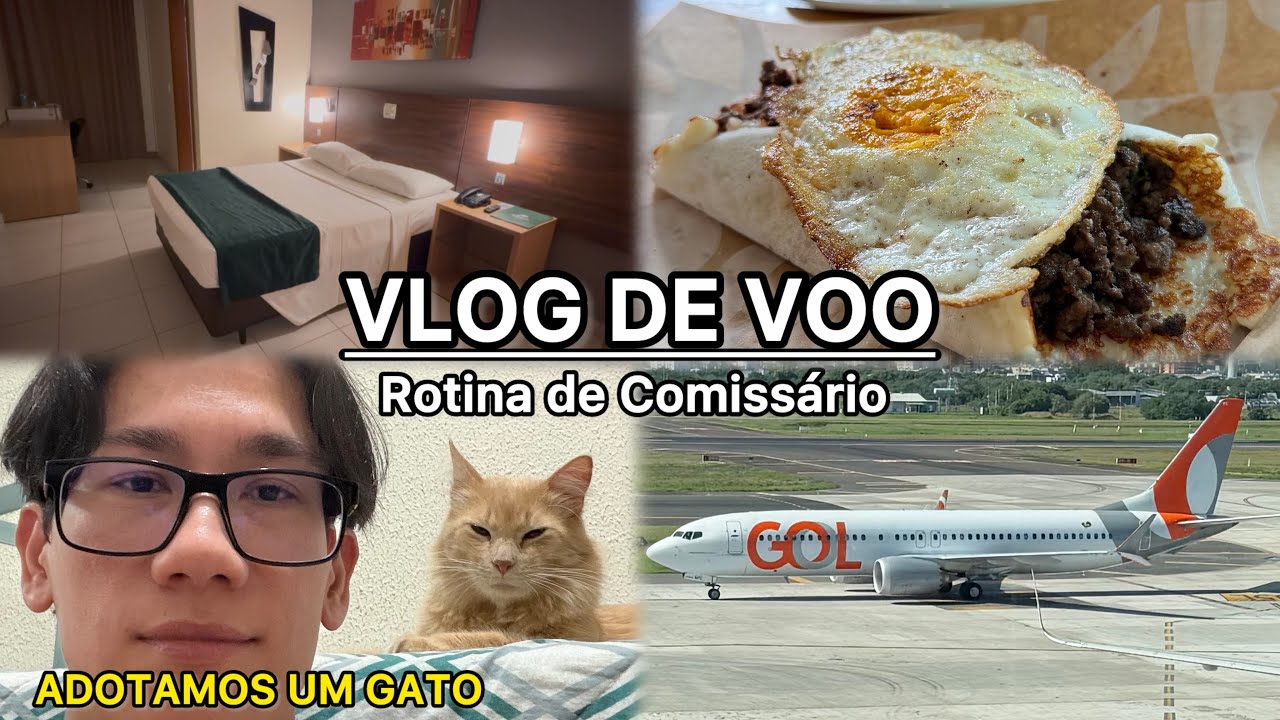 VLOG DE VOO - CHAVE DE NATAL - ADOTAMOS UM GATINHO