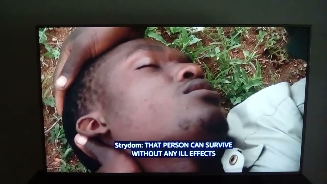 Nature's deadliest:Venomous snakes of Africa