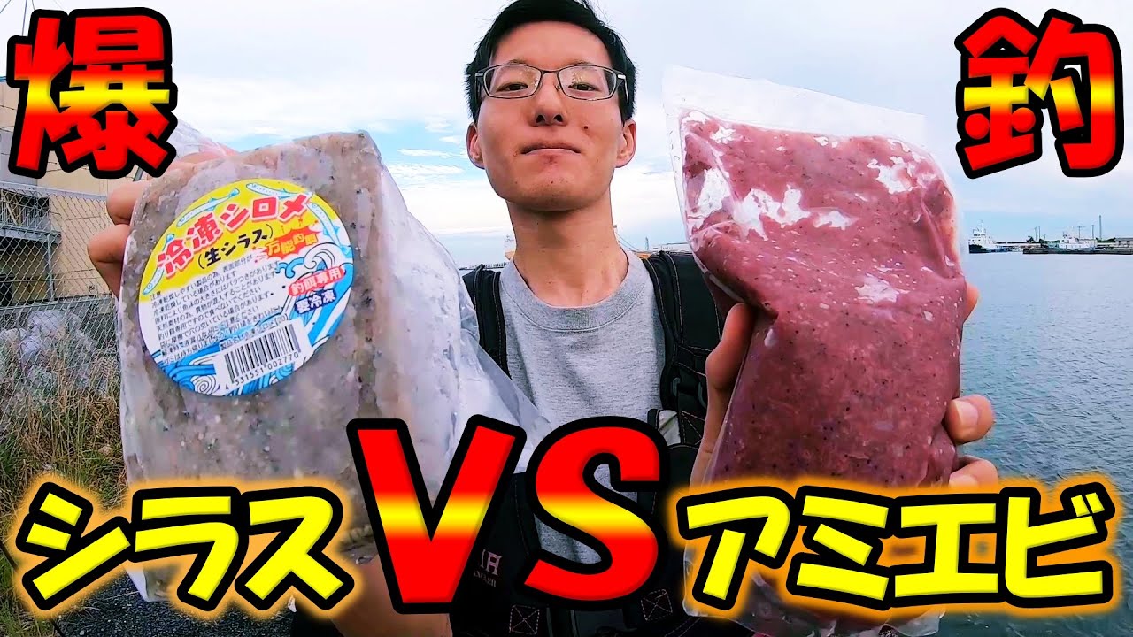 シラスとアミエビでサビキ対決したらアジが爆釣しました【茨城県】