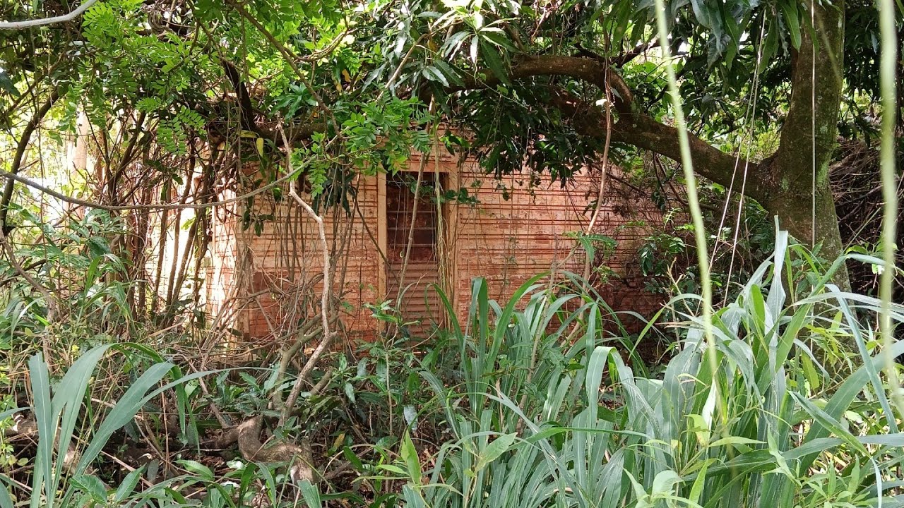 Idoso Morava Sozinho e Contratou a Vizinha Para se Deitar com ele, O Salsichão Dele Esta Pendurado
