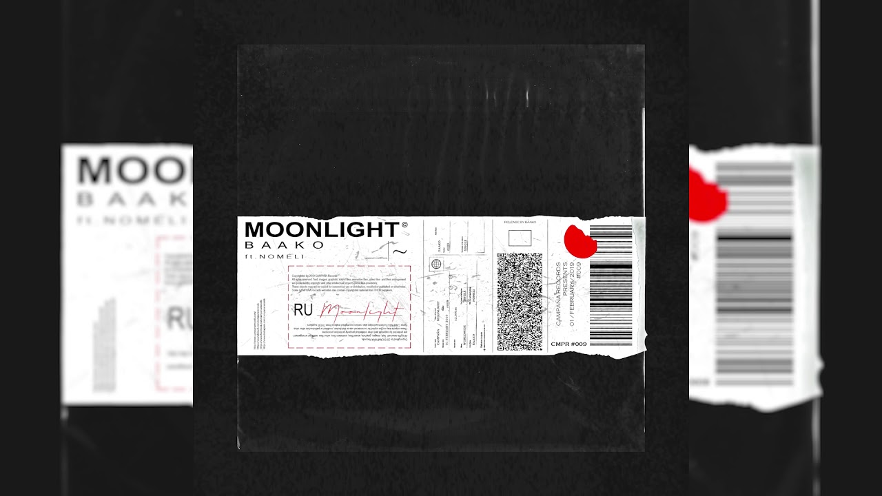 Baako - Moonlight (ft. Nomeli) [TEASER]