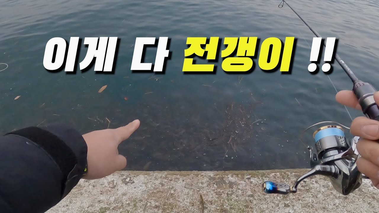 그 섬으로 1박2일 낚시 여행 [전갱이 볼락 갑오징어 쭈꾸미 다있다!!] feat. 참좋다
