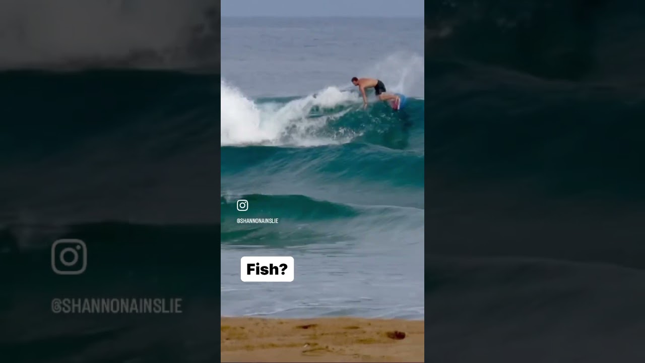 SHORTBOARD vs FISH | Same wave, same day, which wave was surfed best?