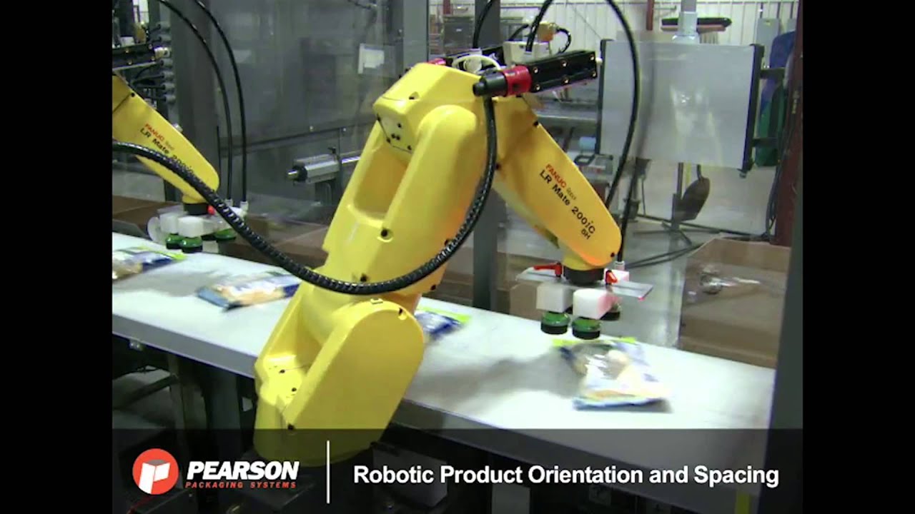 Robotic Gantry Top Loader System Case Packs Food Product - Pearson Packaging Systems