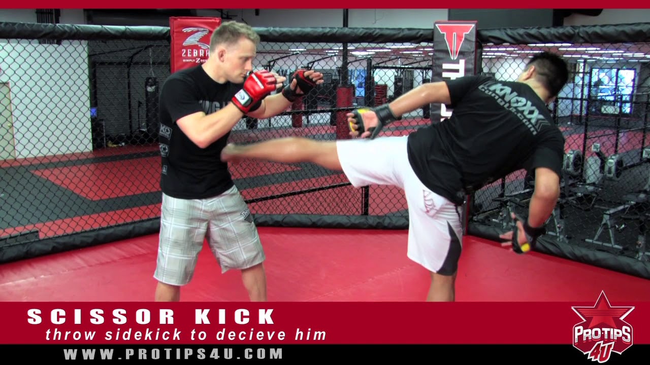 MMA Tips:  Cung Le Demonstrates how to do a Scissor Kick