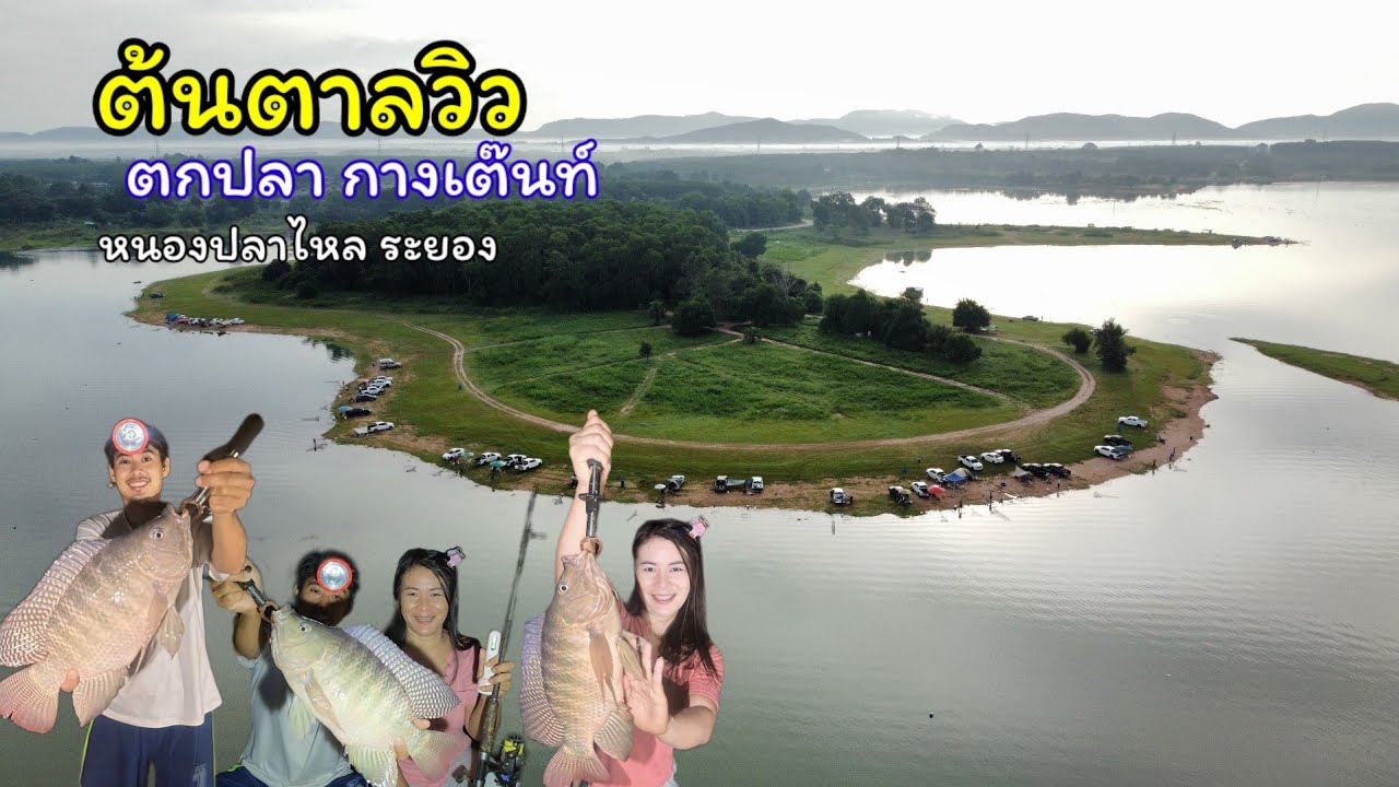 ต้นตาลวิว ตกปลากางเต๊นท์ อ่างเก็บน้ำหนองปลาไหล ระยอง #ต้นตาลวิว #ตกปลาหนองปลาไหล
