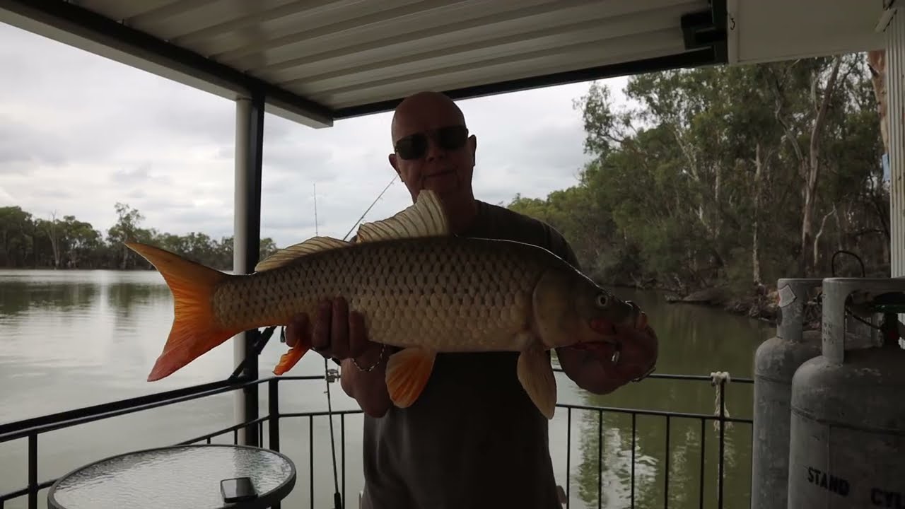 Cruising and fishing The Mighty Murray in South Australia March 2025