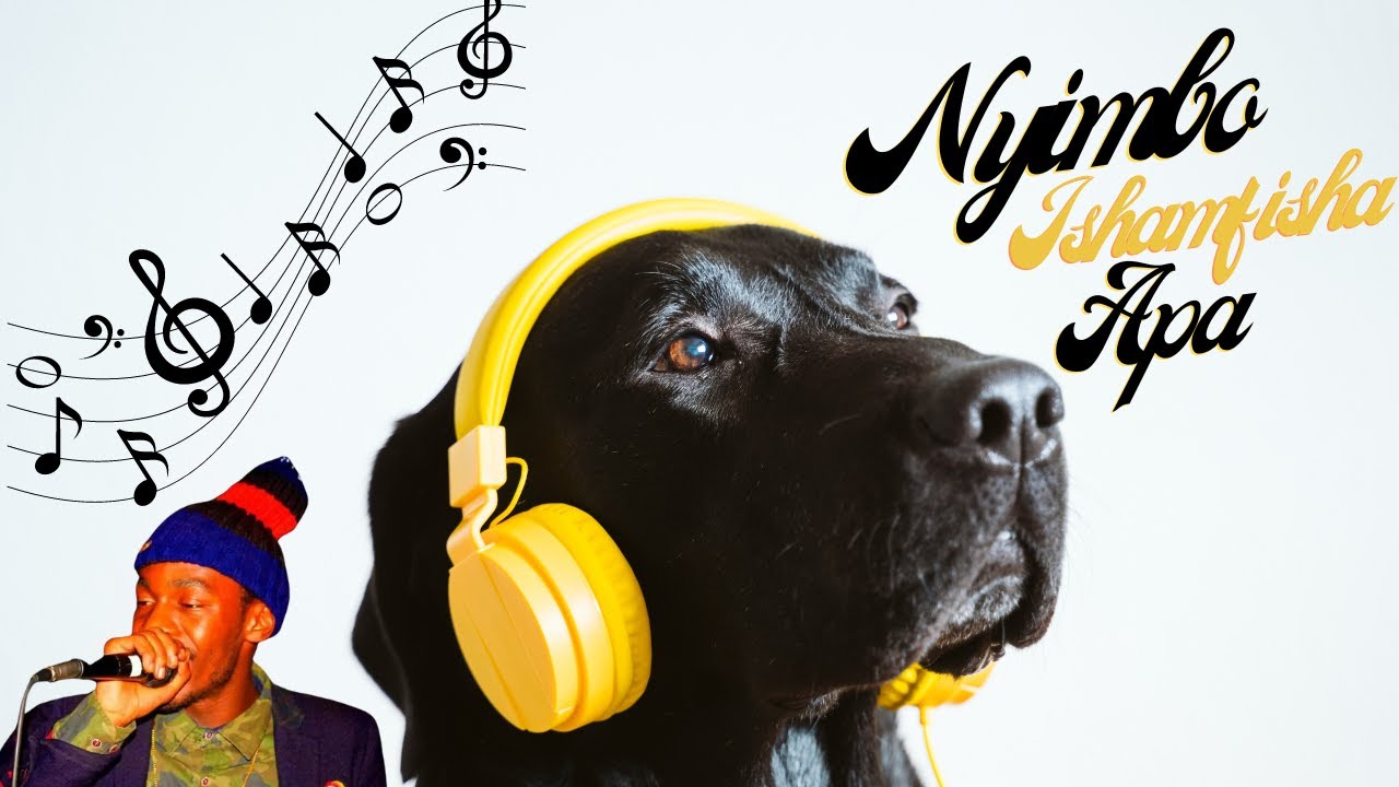 Muzo AKA Alphonso - Nyimbo Ishamfisha Apa || Scrolling Lyrics